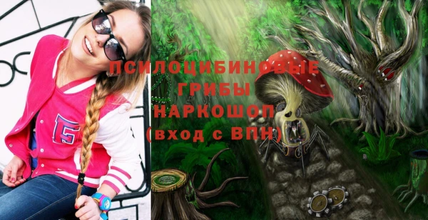 герыч Алексин