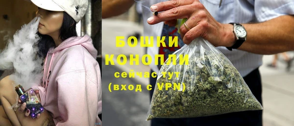 PSILOCYBIN Алзамай