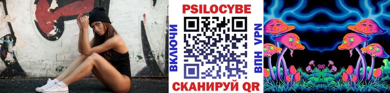 дарнет шоп  hydra   Псилоцибиновые грибы мухоморы  Козьмодемьянск 